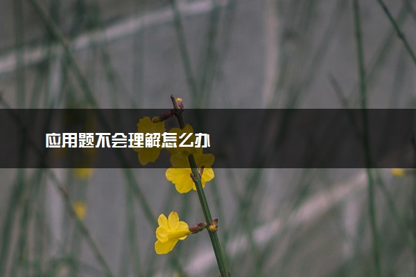 应用题不会理解怎么办