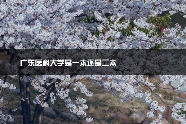 广东医科大学是一本还是二本