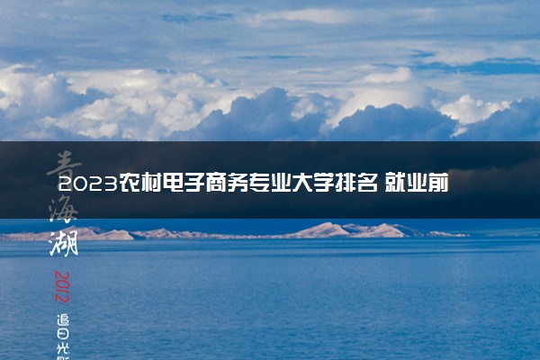 2023农村电子商务专业大学排名 就业前景怎么样