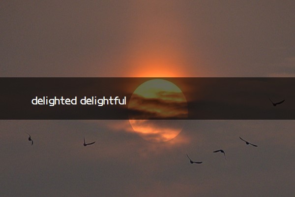 delighted delightful区别