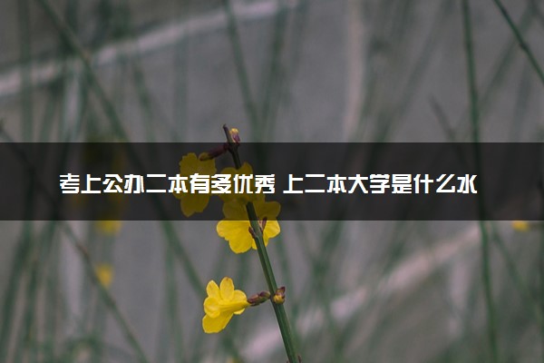 考上公办二本有多优秀 上二本大学是什么水平