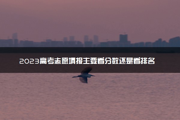 2023高考志愿填报主要看分数还是看排名