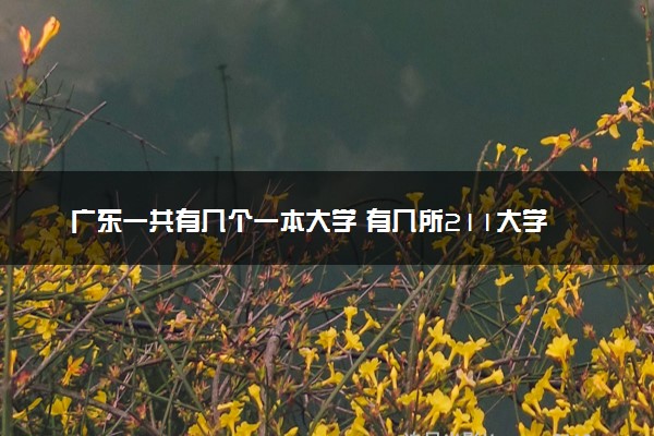广东一共有几个一本大学 有几所211大学