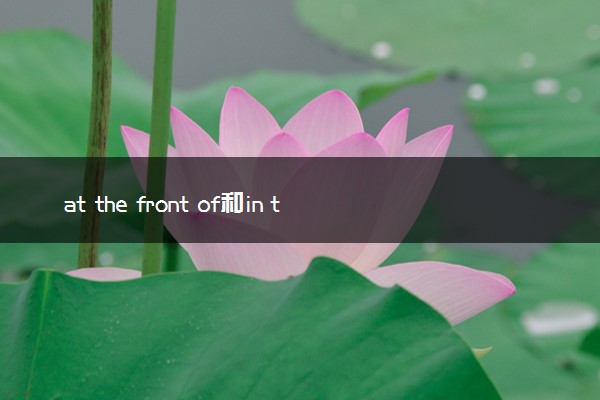 at the front of和in the front of的区别