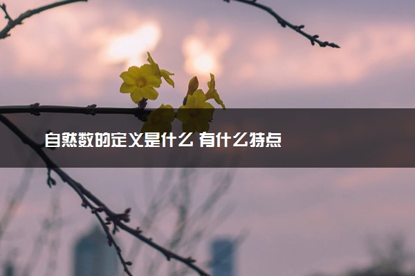 自然数的定义是什么 有什么特点