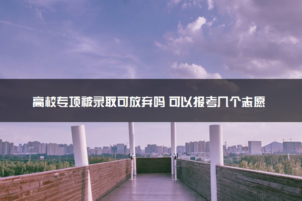 高校专项被录取可放弃吗 可以报考几个志愿