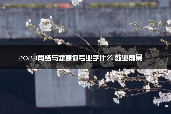 2023网络与新媒体专业学什么 就业前景怎么样