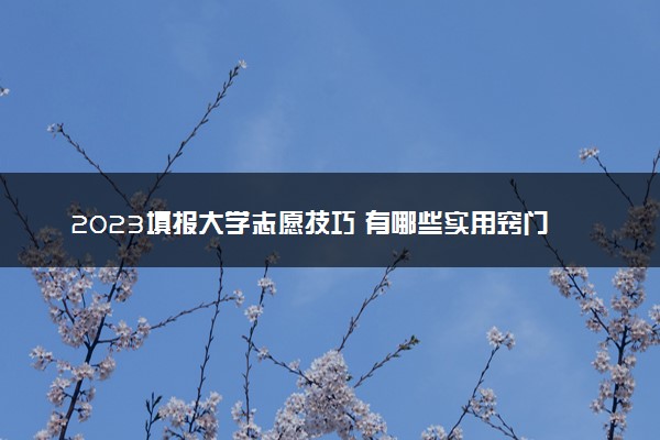 2023填报大学志愿技巧 有哪些实用窍门