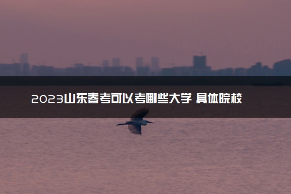 2023山东春考可以考哪些大学 具体院校名单