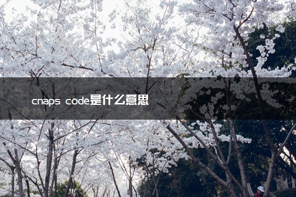 cnaps code是什么意思