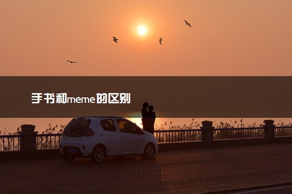 手书和meme的区别