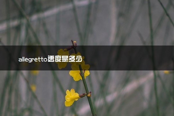 allegretto速度是多少