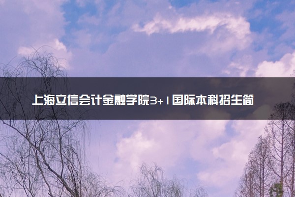 上海立信会计金融学院3+1国际本科招生简章