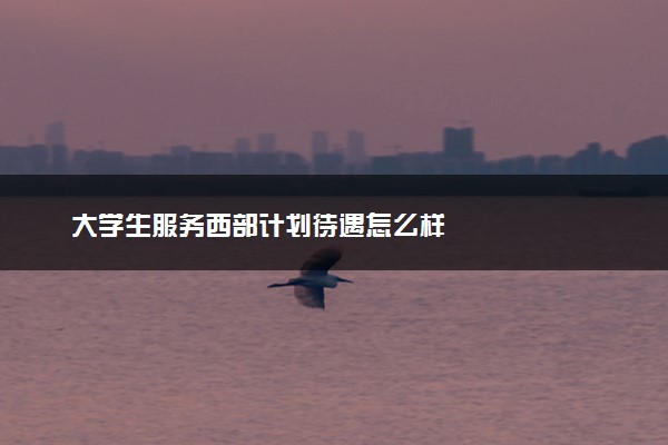 大学生服务西部计划待遇怎么样