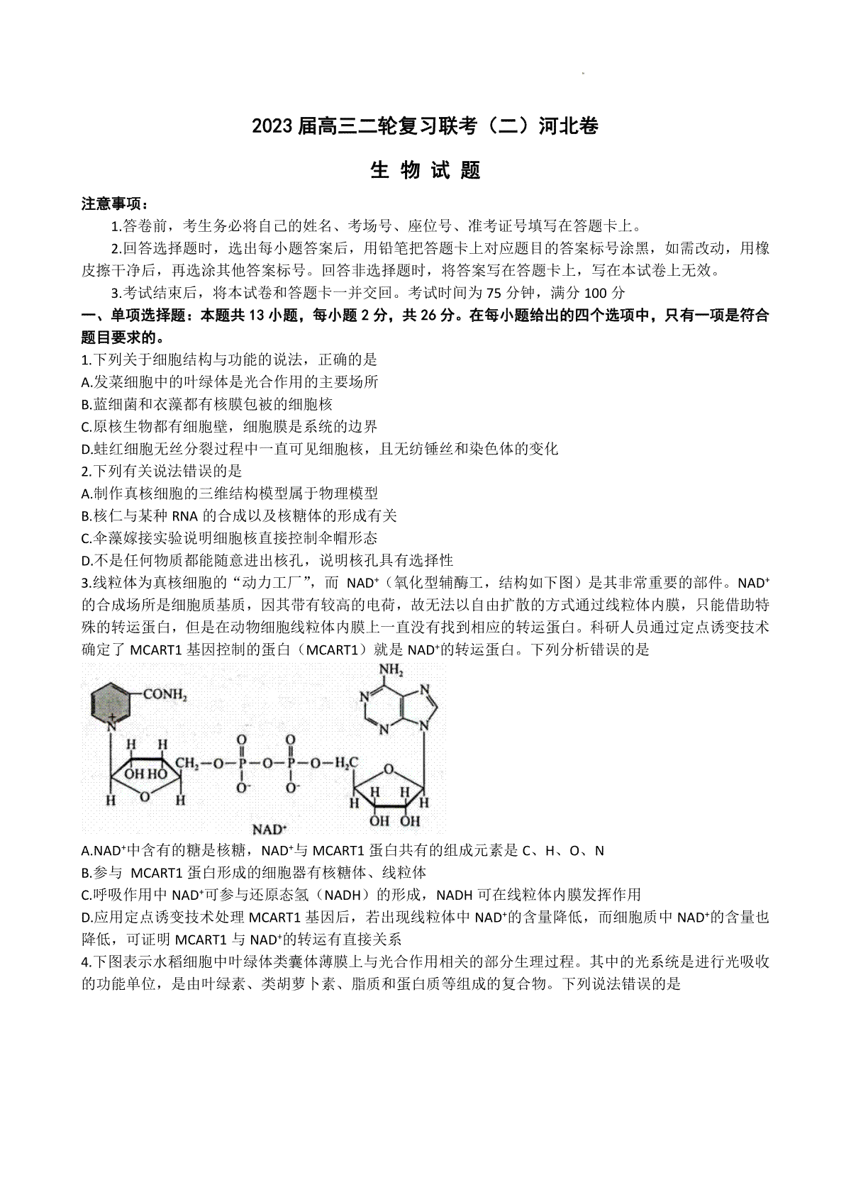 2023百师联盟4月（新高考）生物