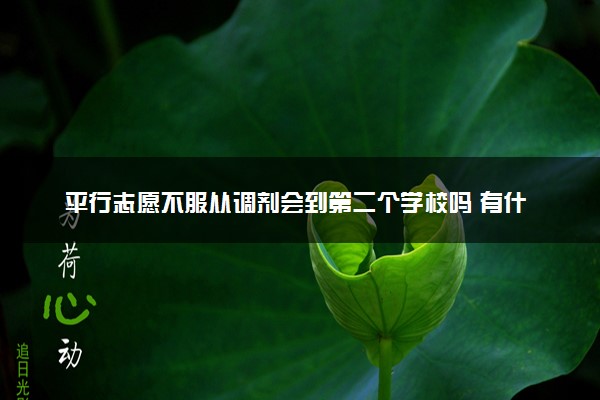 平行志愿不服从调剂会到第二个学校吗 有什么后果