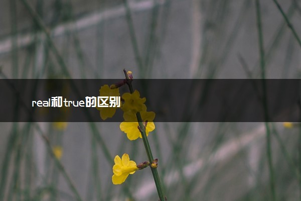 real和true的区别