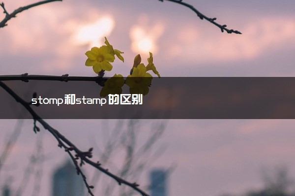 stomp和stamp的区别