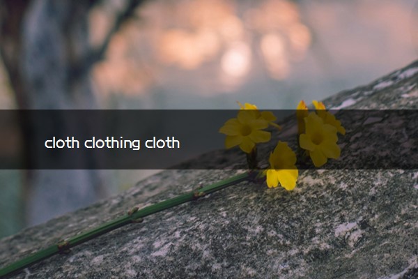 cloth clothing clothes区别