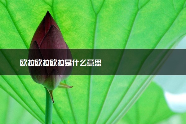 欧拉欧拉欧拉是什么意思