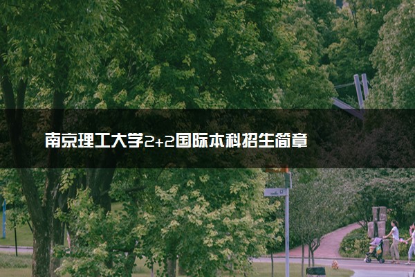 南京理工大学2+2国际本科招生简章