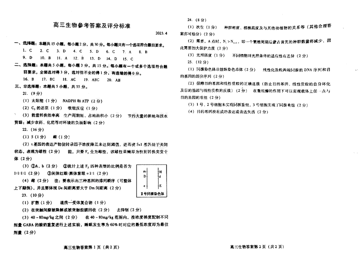 2023山东省潍坊市高三二模生物答案