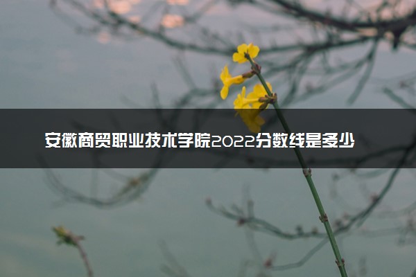 安徽商贸职业技术学院2022分数线是多少 各省录取最低位次