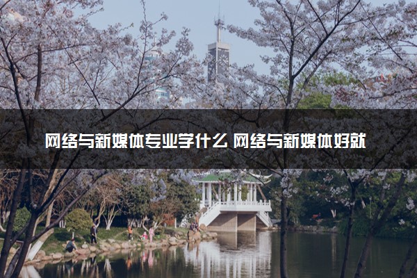 网络与新媒体专业学什么 网络与新媒体好就业吗