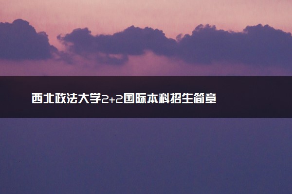 西北政法大学2+2国际本科招生简章
