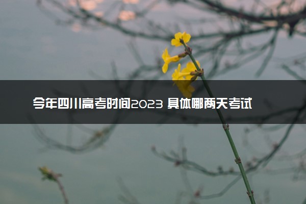 今年四川高考时间2023 具体哪两天考试