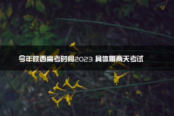 今年陕西高考时间2023 具体哪两天考试