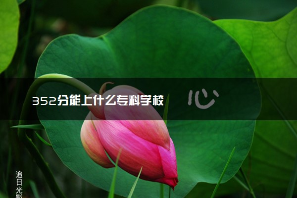 352分能上什么专科学校