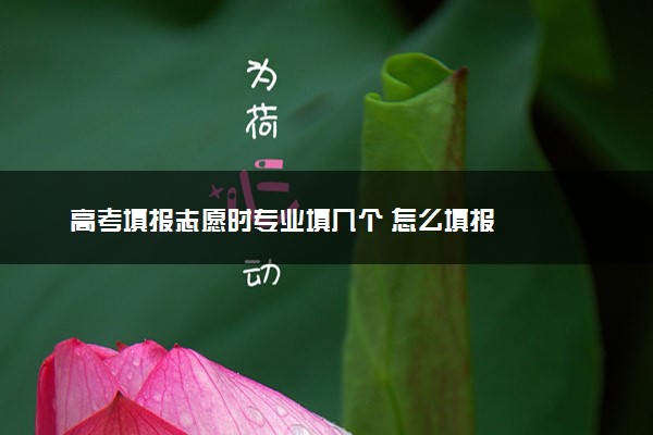 高考填报志愿时专业填几个 怎么填报