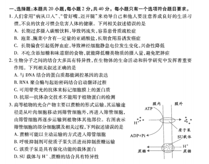 湖北2023高三9月起点考试生物试题及答案