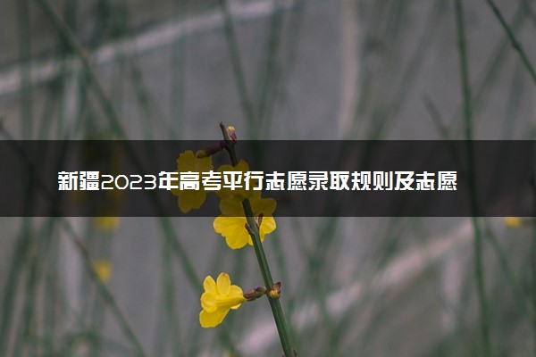 新疆2023年高考平行志愿录取规则及志愿填报设置解读