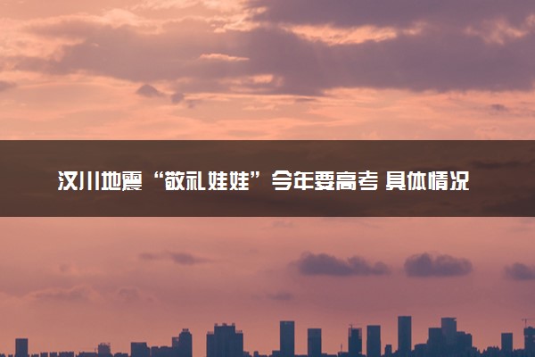 汶川地震“敬礼娃娃”今年要高考 具体情况