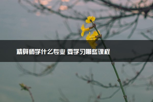 精算师学什么专业 要学习哪些课程