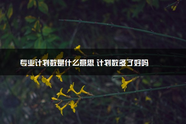 专业计划数是什么意思 计划数多了好吗