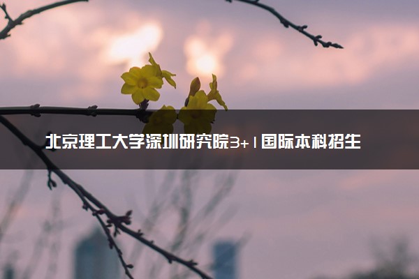 北京理工大学深圳研究院3+1国际本科招生简章