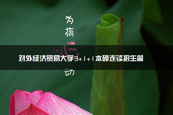 对外经济贸易大学3+1+1本硕连读招生简章