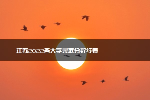 江苏2022各大学录取分数线表