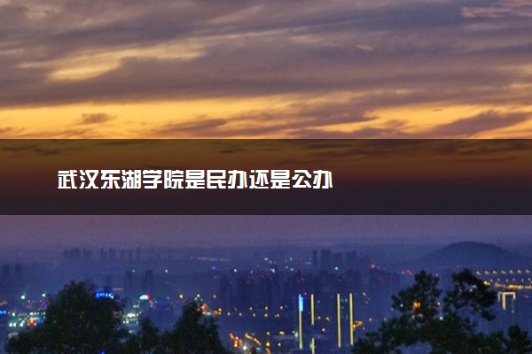 武汉东湖学院是民办还是公办