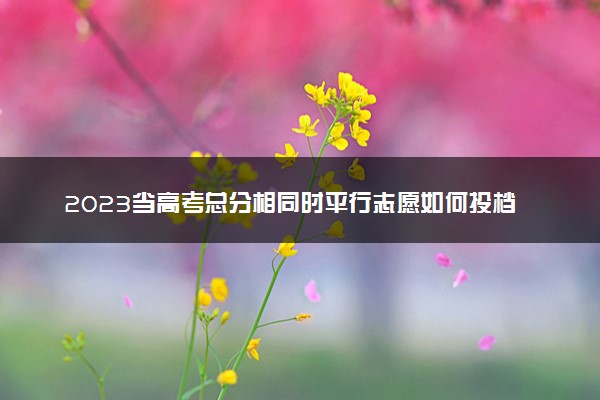 2023当高考总分相同时平行志愿如何投档