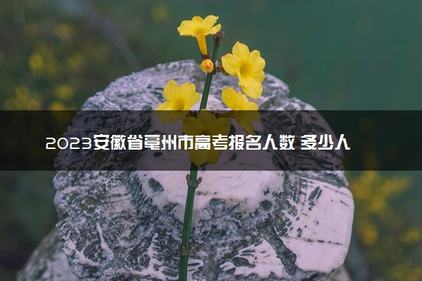 2023安徽省亳州市高考报名人数 多少人参加高考