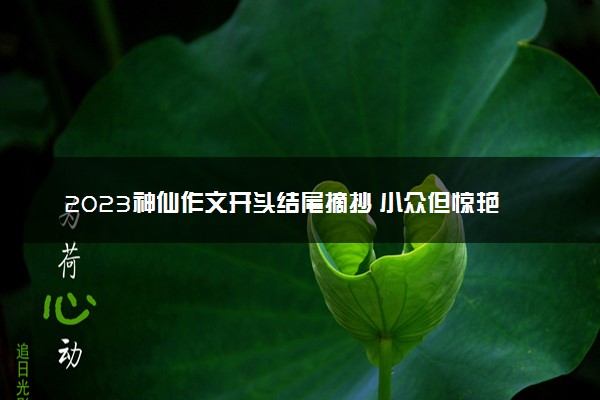 2023神仙作文开头结尾摘抄 小众但惊艳