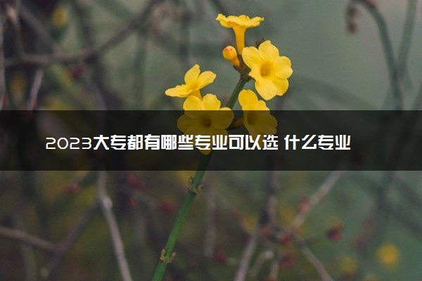 2023大专都有哪些专业可以选 什么专业最吃香