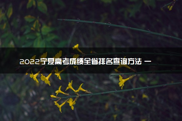 2022宁夏高考成绩全省排名查询方法 一分一档表如何查