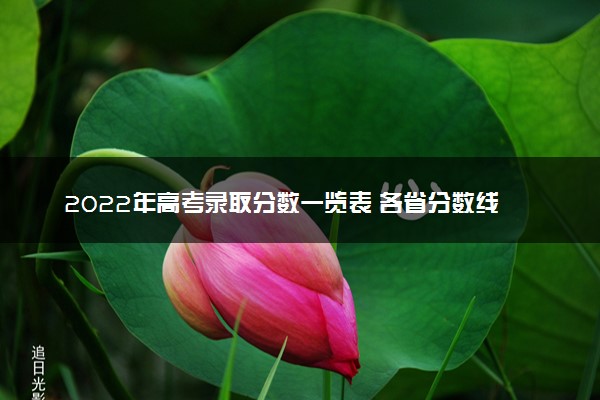 2022年高考录取分数一览表 各省分数线汇总