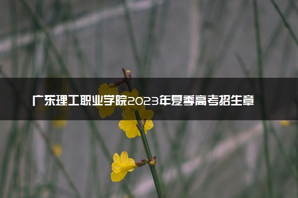 广东理工职业学院2023年夏季高考招生章程