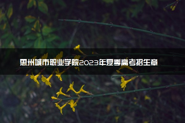 惠州城市职业学院2023年夏季高考招生章程